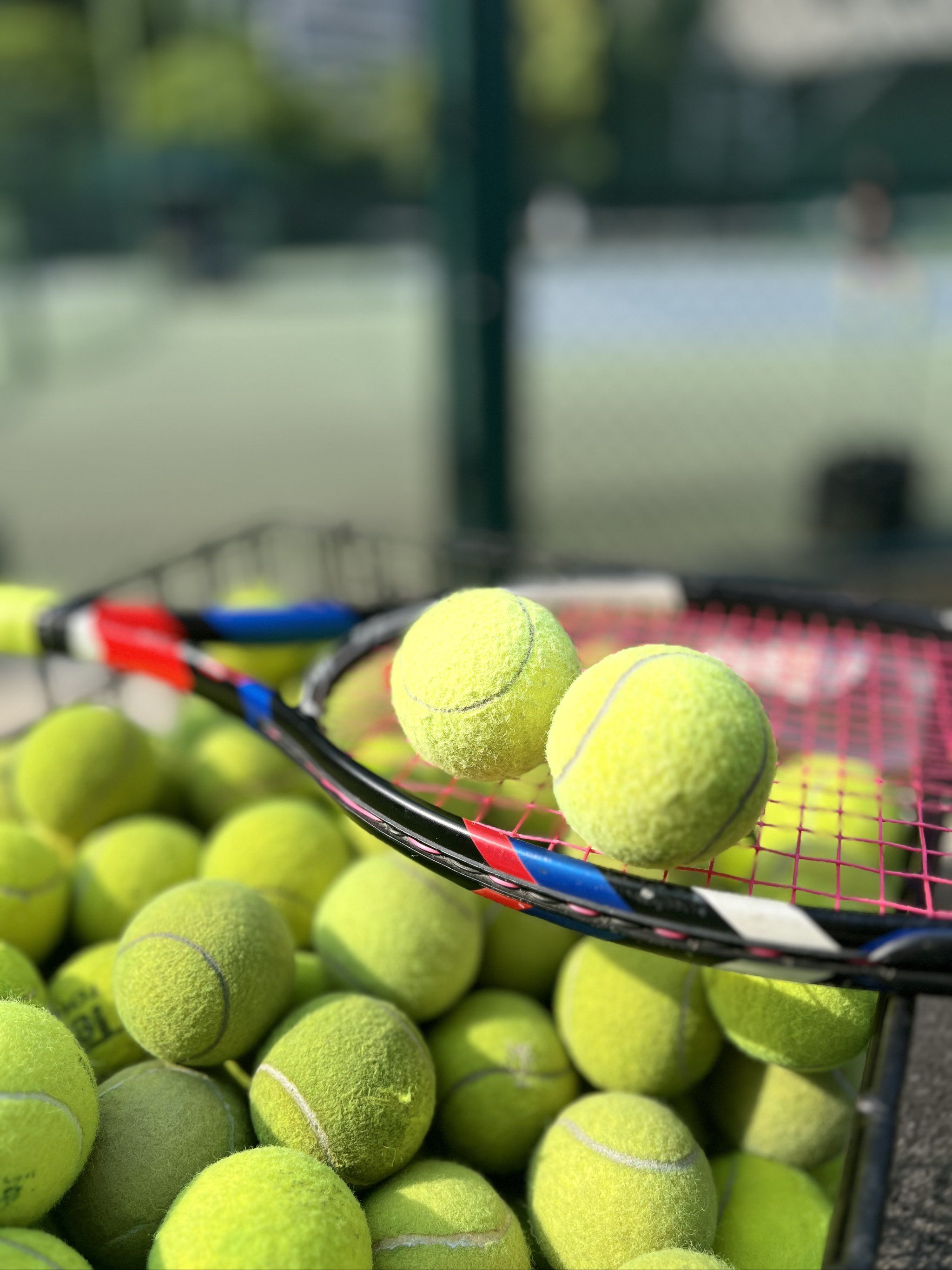 4分钟贡献 4分钟贡献