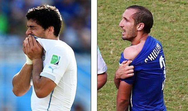 中的作用愈 中的作用愈